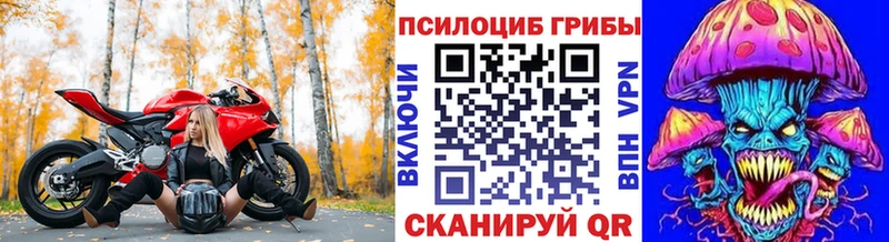 купить   Полесск  OMG как зайти  Псилоцибиновые грибы мицелий 